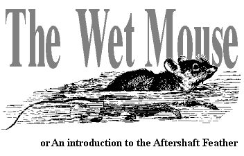 The Wet Mouse