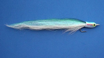 Blueback Herring FishHead