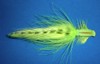 Click to view this fly Click to view this fly