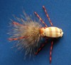 Click to view this fly Click to view this fly