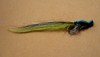 Click to view this fly Click to view this fly