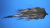 Click to view this fly Click to view this fly