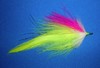 Click to view this fly Click to view this fly