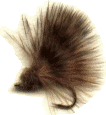 Chicken Poop Feathers (CPF)
